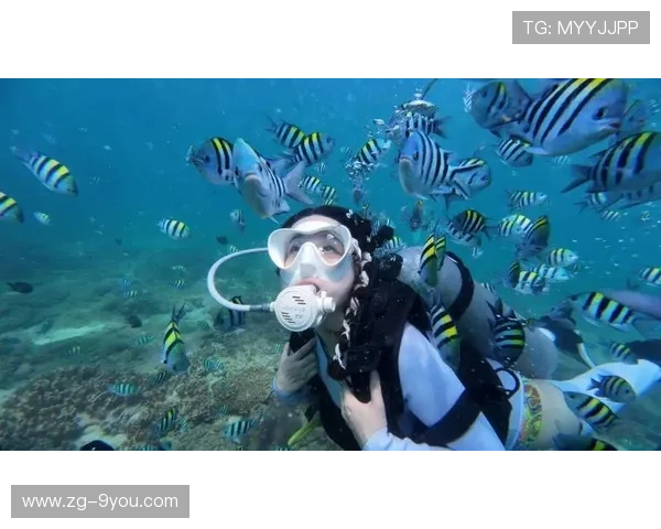 自由潜水比赛，潜入海底的宁静世界，自由潜水视频